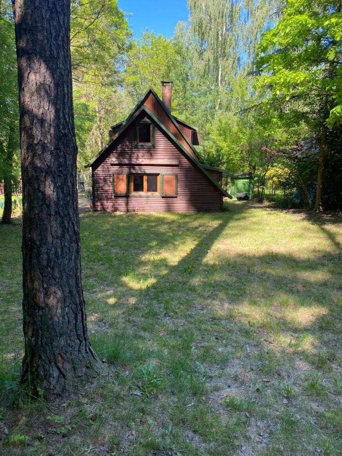 Holiday home Antonowka Woryty