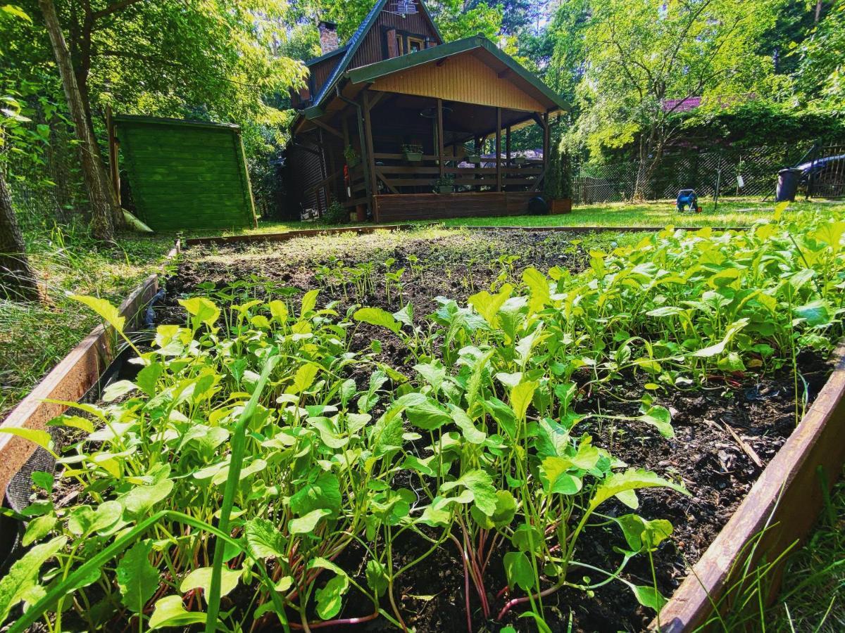 Holiday home Antonowka