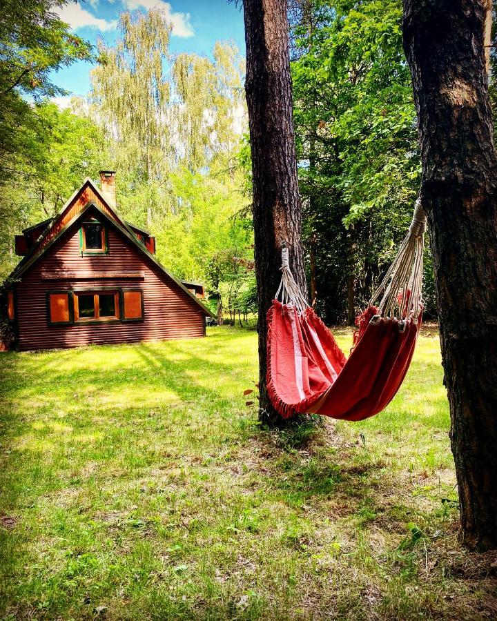 Antonowka Holiday home Woryty